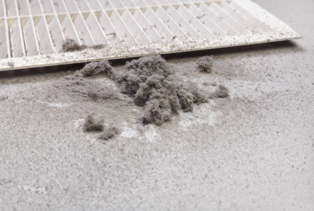Best HVAC Maintenance and Cleaning  in Beecher, MI