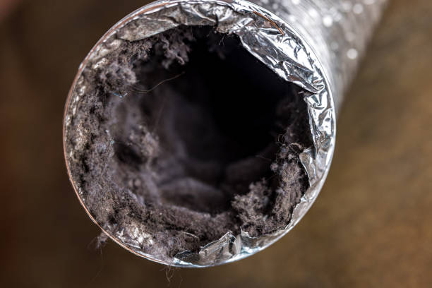 Best Best Air Duct Cleaning Company  in Beecher, MI