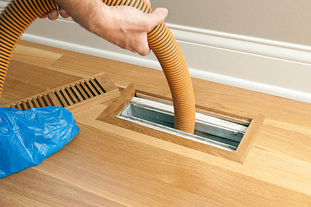 Best Affordable Duct Cleaning Services  in Beecher, MI