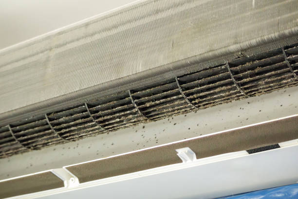 Best Air Duct Cleaning Near Me  in Beecher, MI