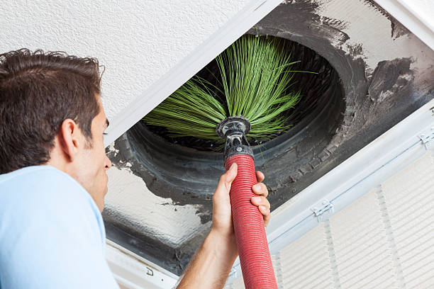 Best Air Duct Inspection  in Beecher, MI