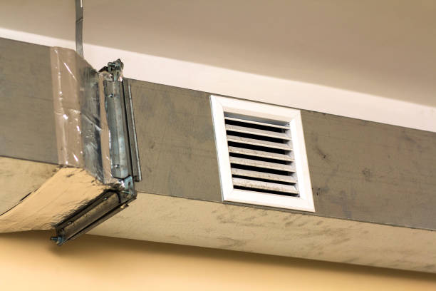 Best Air Duct Cleaning Company Near Me  in Beecher, MI